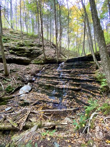 View of Step Falls from the steep hillside